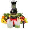 Cold Press Juicer Machine 300W Electric Slow Masticating Juicer for Whole Vegetable and Fruit with Reverse Function 2 Containers Cleaning Brush Clear